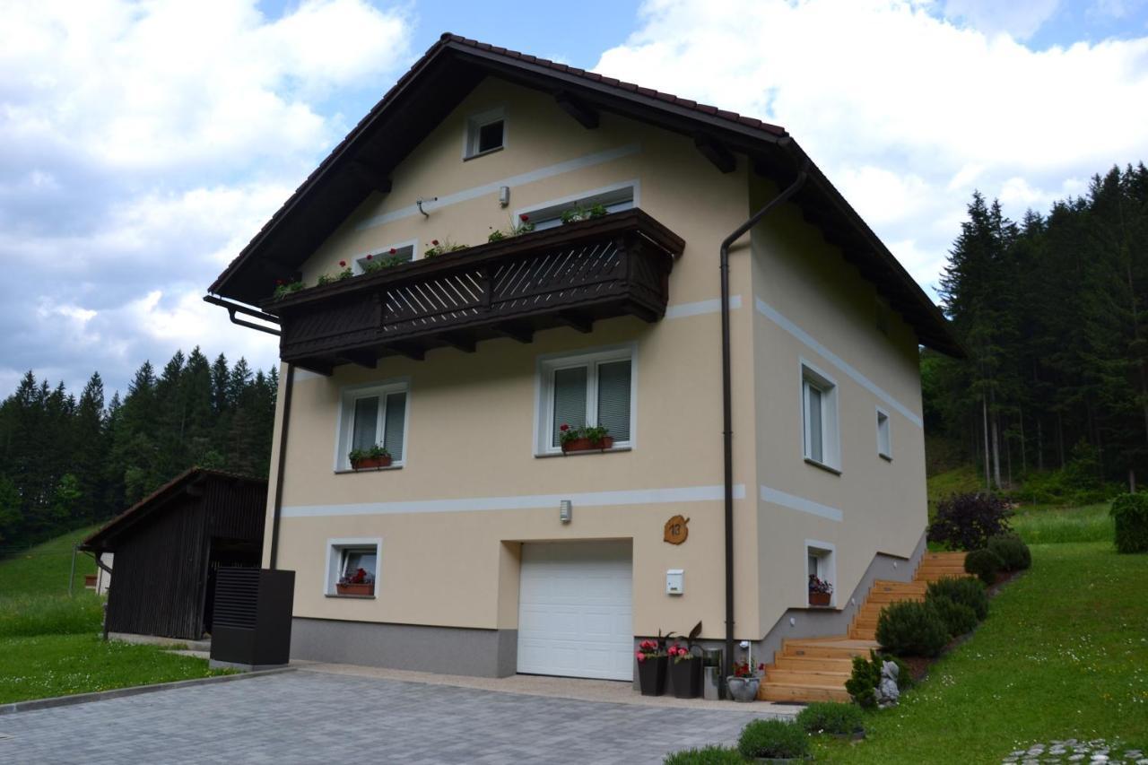 Apartma Ob Potoku Luče Εξωτερικό φωτογραφία