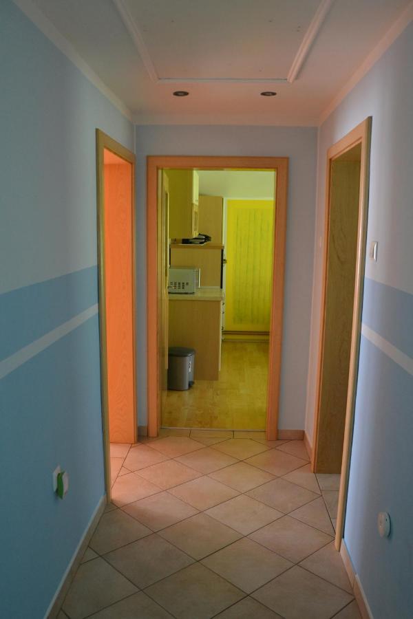 Apartma Ob Potoku Luče Εξωτερικό φωτογραφία