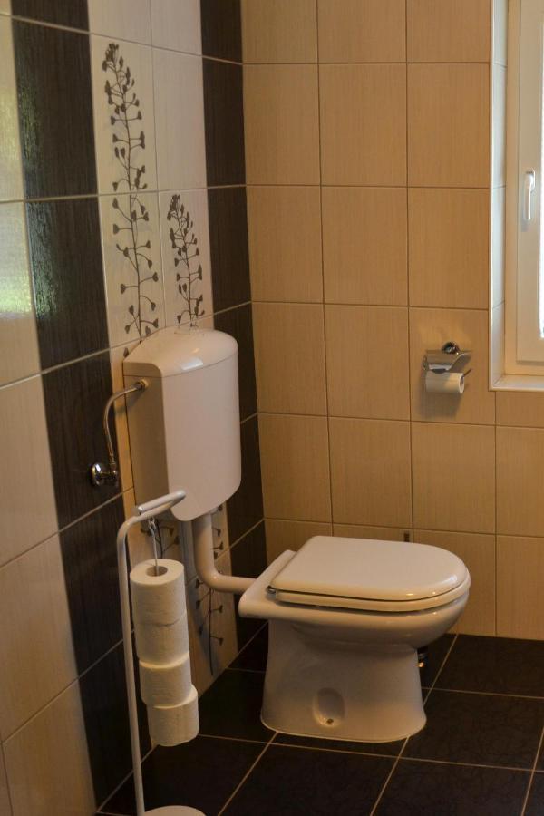 Apartma Ob Potoku Luče Εξωτερικό φωτογραφία