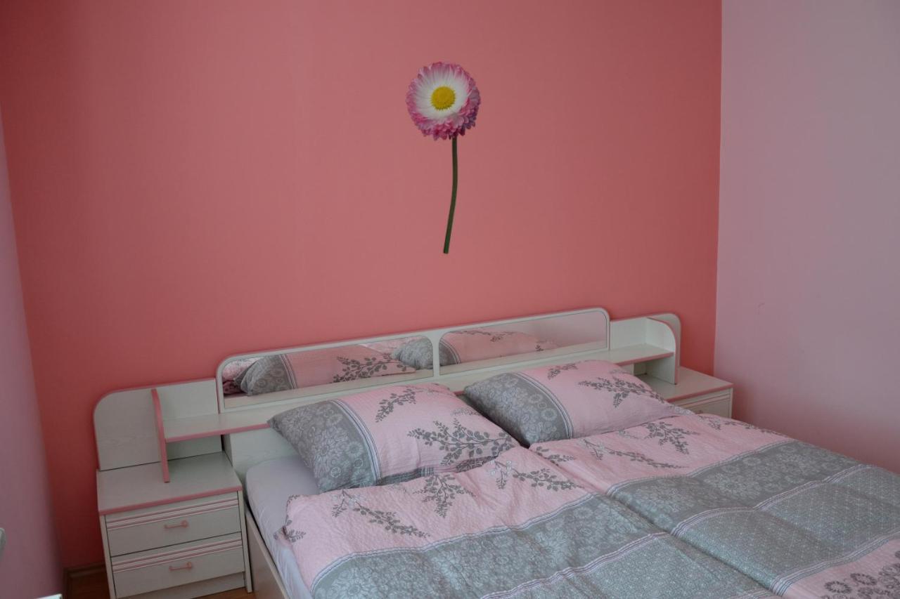 Apartma Ob Potoku Luče Εξωτερικό φωτογραφία